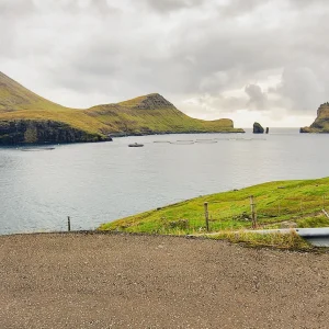 Pedal & Puffins – Ride, laugh, and spot puffins